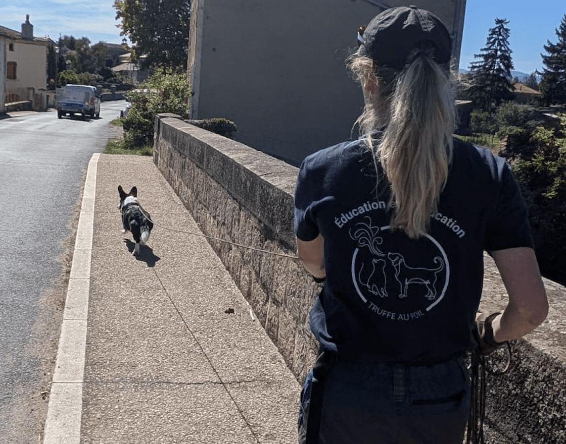 chien-en-séance-de-mantrailing