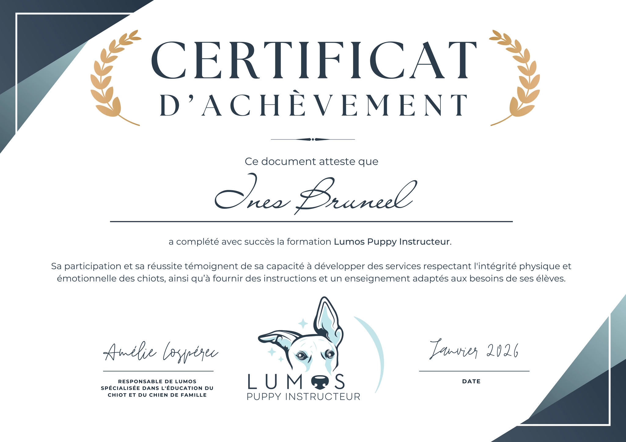 Certificat éducatrice canin