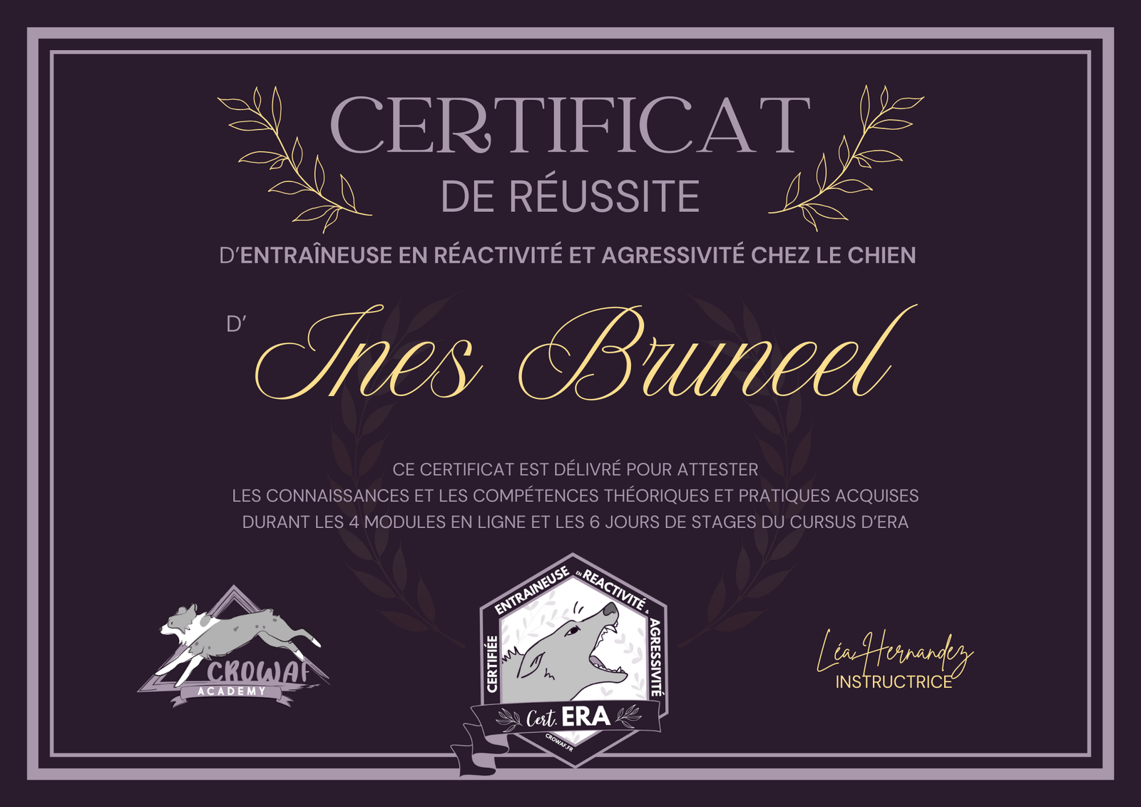 Certificat entraîneuse en réactivité et agressivité canine